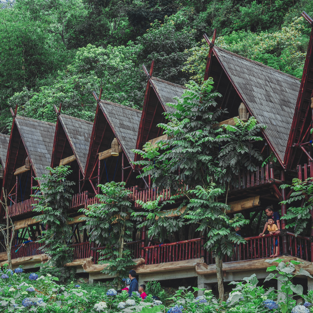 Small bungalows in tropical lush forest